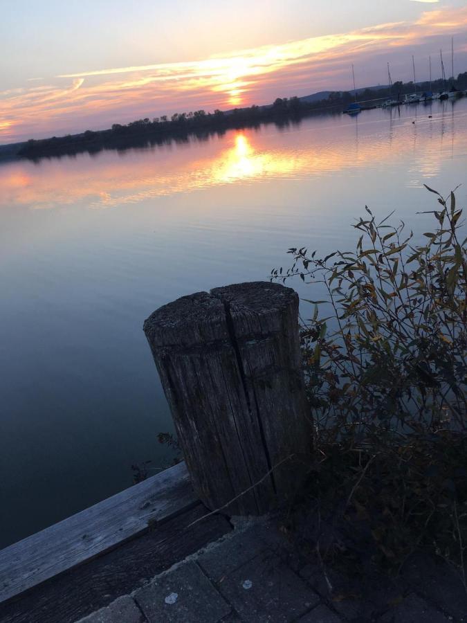 Ferienwohnung Fraenkisches Seenland - Fewo Antje Mitteleschenbach Exterior foto